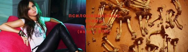 кокаин Пестово