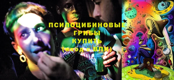 jwh Пересвет