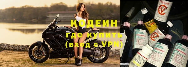 jwh Пересвет