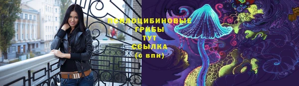 jwh Пересвет