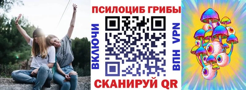 Псилоцибиновые грибы Cubensis  Боровск 